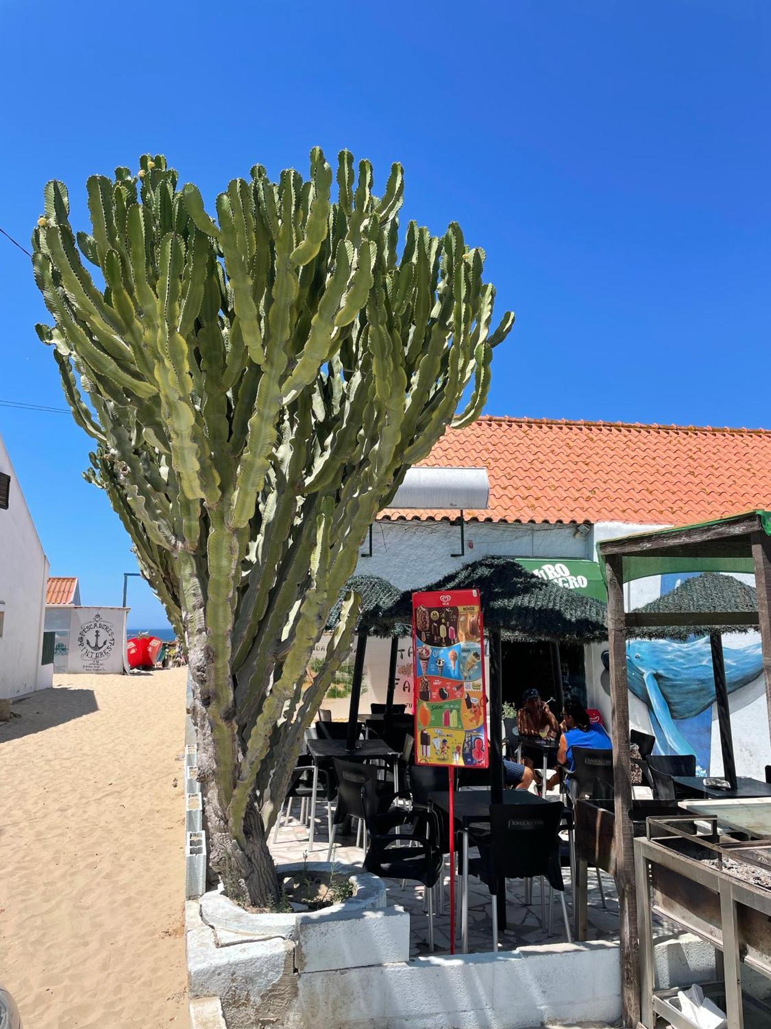 Sea View & Sundown, 150M From The Beach And Surf Spots Costa de Caparica Εξωτερικό φωτογραφία